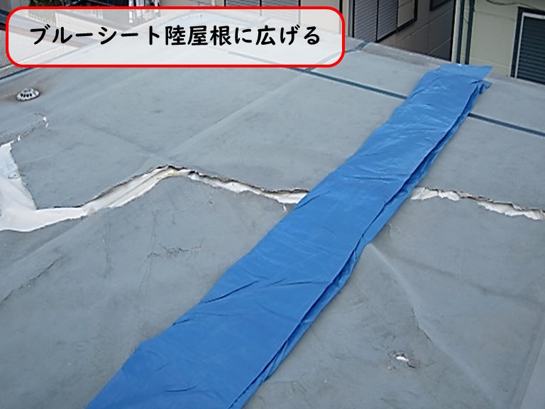 高石市でブルーシート陸屋根に広げる