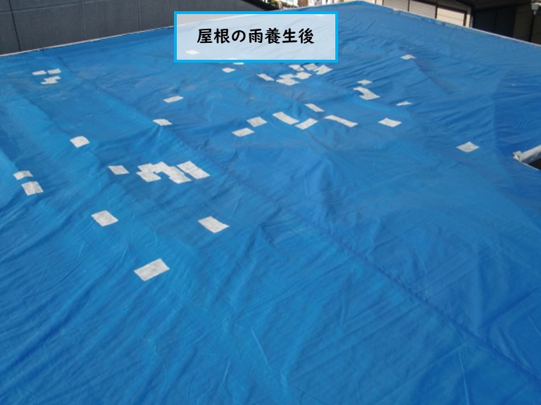 高石市で屋根の雨養生後