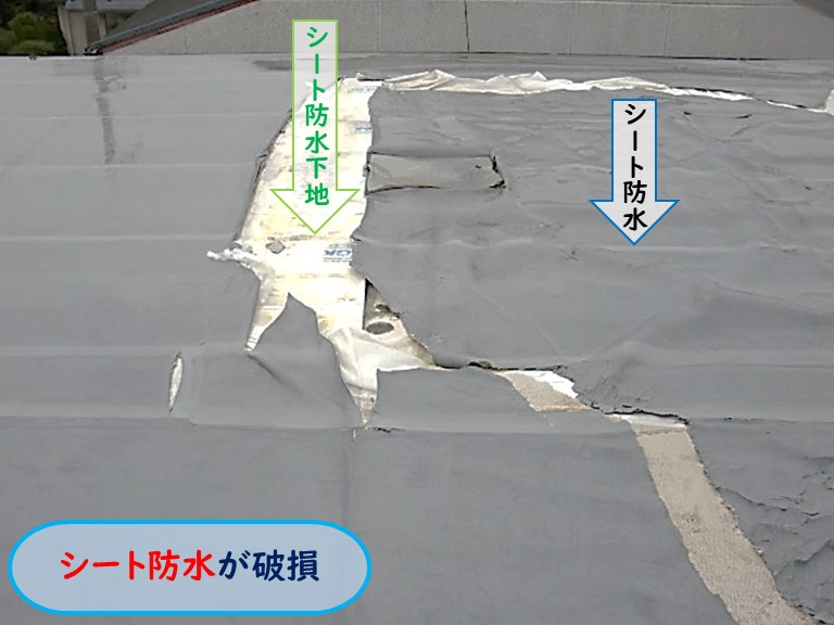高石市で陸屋根の雨漏りの原因は屋根の防水層が原因？点検で安心