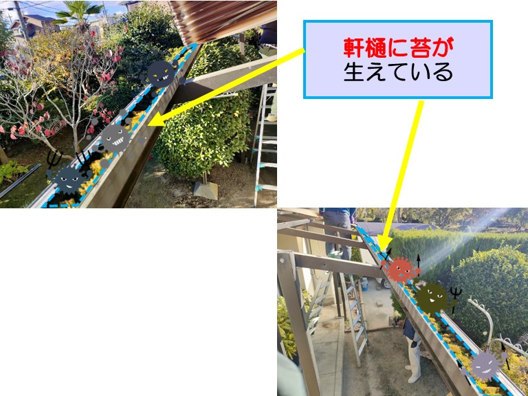 高石市で１階テラス屋根波板張替え工事軒樋に苔が生えている