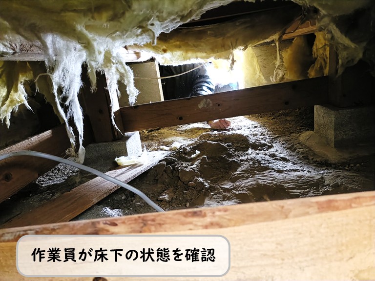 高石市床下確認